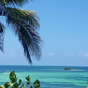 Meet your Posher, Trish